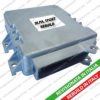 FIAT 46475013 Control Unit, fuel injection